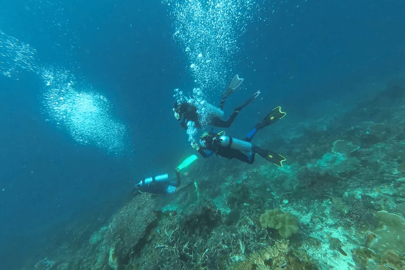 Diving in Raja Ampat. By rikkicarman1