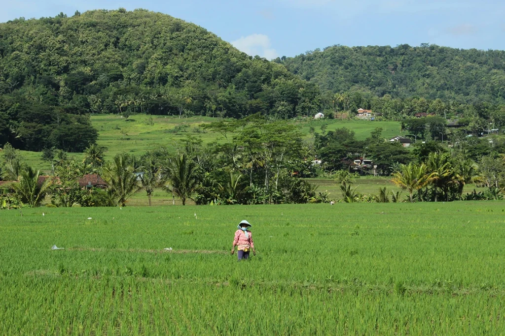 Yogyakarta Indonesia. Photo by Jeehead 999